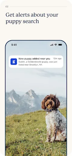 Good Dog: Find Your New Puppy screenshot