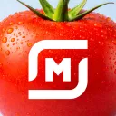 Магнит: акции и доставка