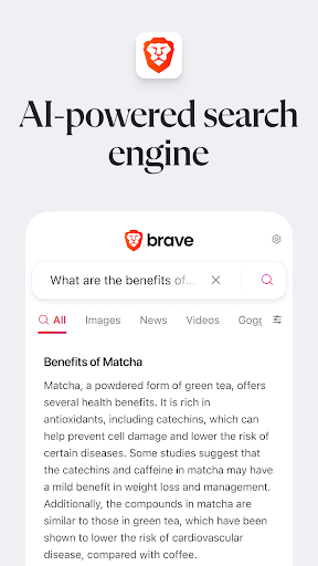 Brave Private Web Browser, VPN screenshot