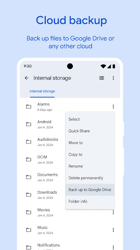Files by Google screenshot