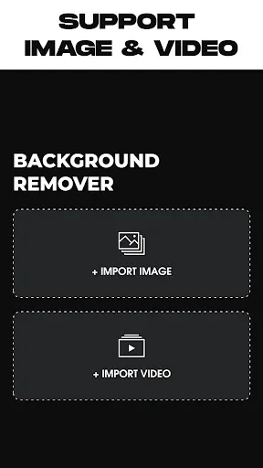 Remove Background From Video screenshot