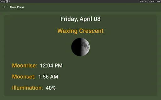 What The Forecast screenshot