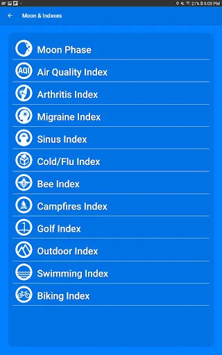 What The Forecast screenshot