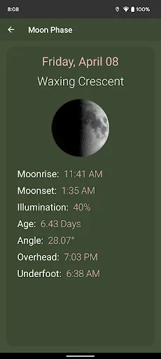 What The Forecast screenshot