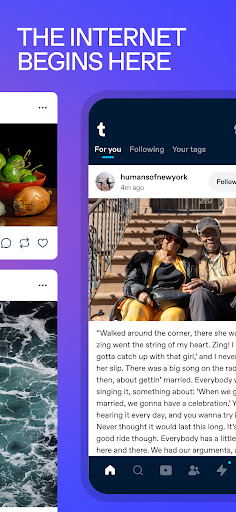 Tumblr Social Media & Art Blog screenshot