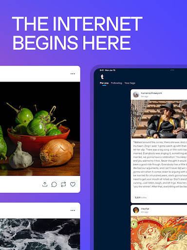 Tumblr Social Media & Art Blog screenshot
