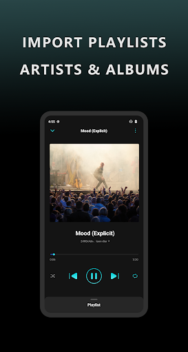 Offline Music Player- Solo screenshot