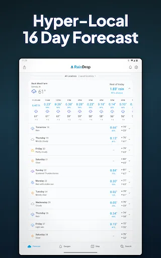 RainDrop: Virtual Rain Gauge screenshot