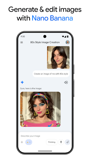 Google Gemini screenshot