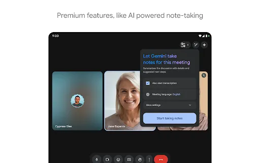 Google Meet screenshot