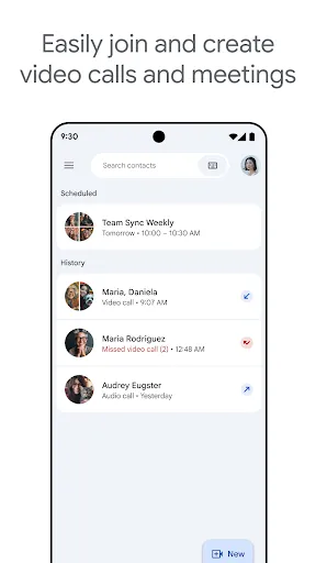 Google Meet screenshot
