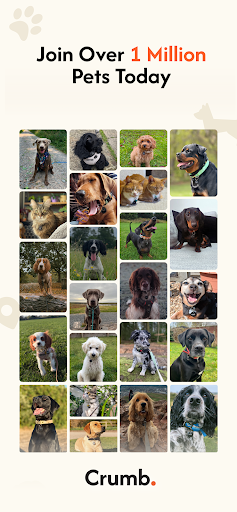Crumb: Keeping Your Pets Safe screenshot