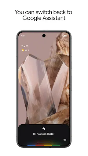 Google Assistant screenshot