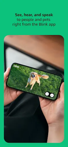 Blink Home Monitor screenshot