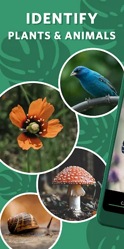 Seek by iNaturalist screenshot
