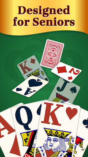 Solitaire for Seniors Game screenshot