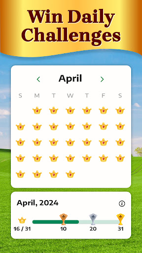 Solitaire for Seniors Game screenshot