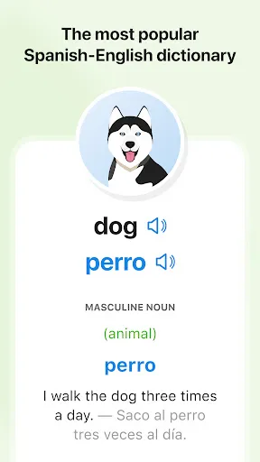 SpanishDictionary.com Learning screenshot