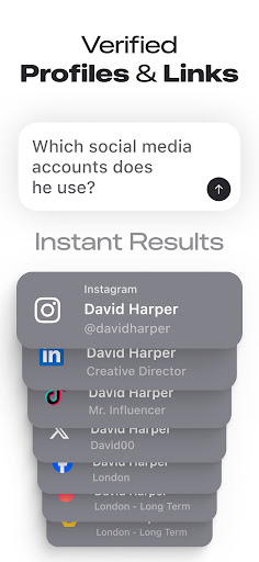 Deepsearch AI Search Assistant screenshot