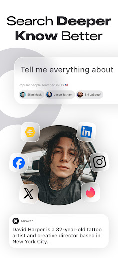Deepsearch AI Search Assistant screenshot