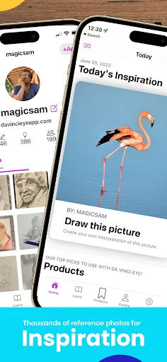 Da Vinci Eye: AR Art Projector screenshot