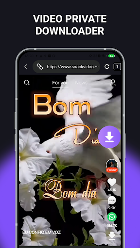 Video Private Downloader screenshot