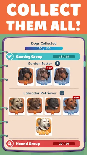 Pocket Paws: My lovely dogs screenshot