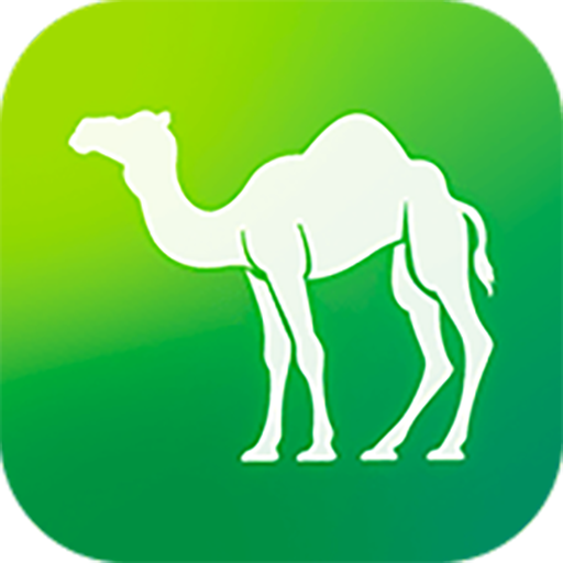 Camel Live